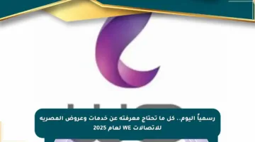 رسمياً اليوم.. كل ما تحتاج معرفته عن خدمات وعروض المصرية للاتصالات WE لعام 2025